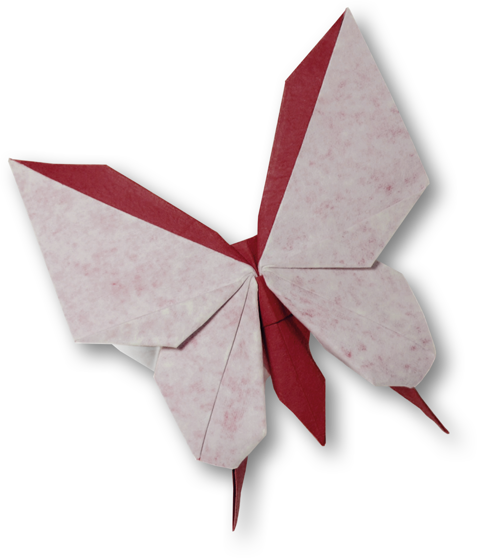 KAIZEN™ butterfly